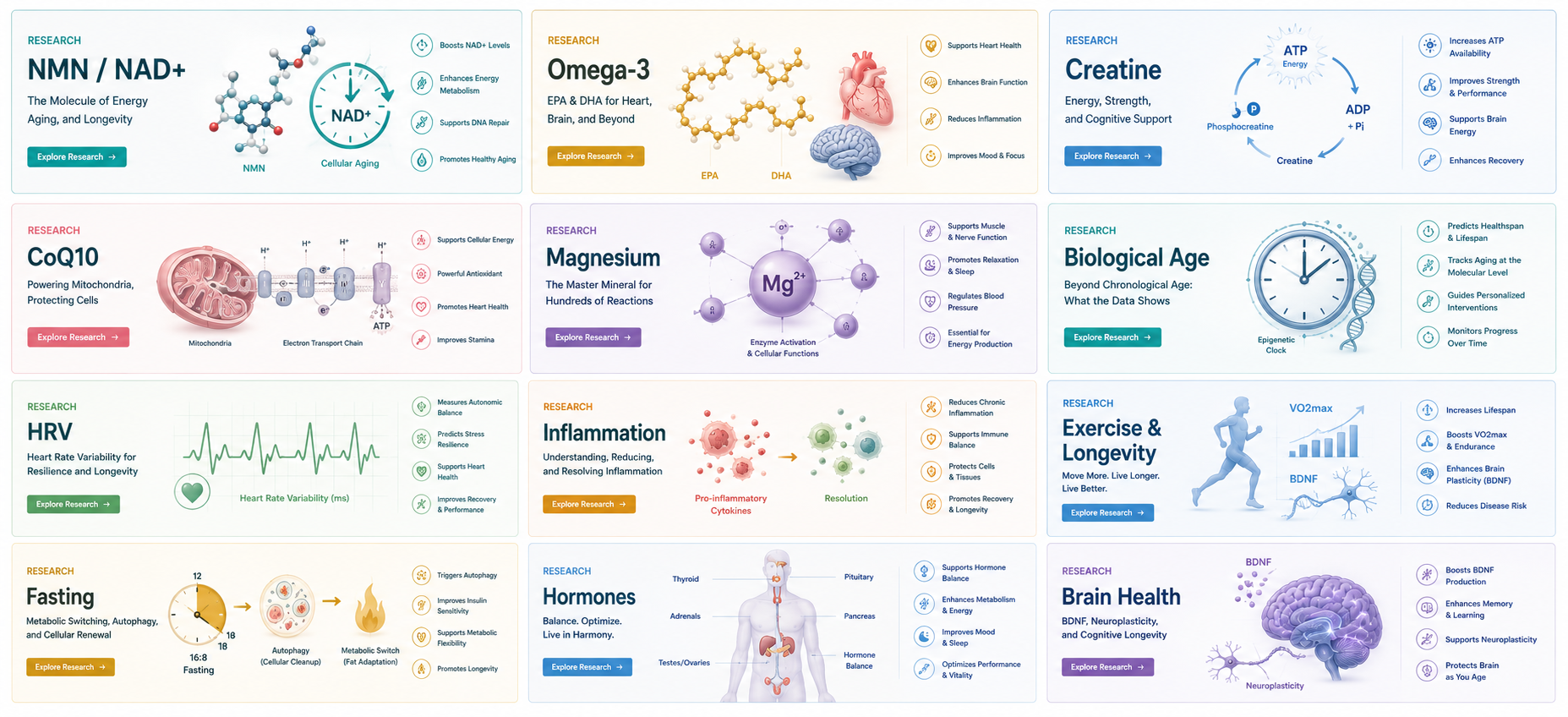 LongevLife Research Library - 12 scientific categories