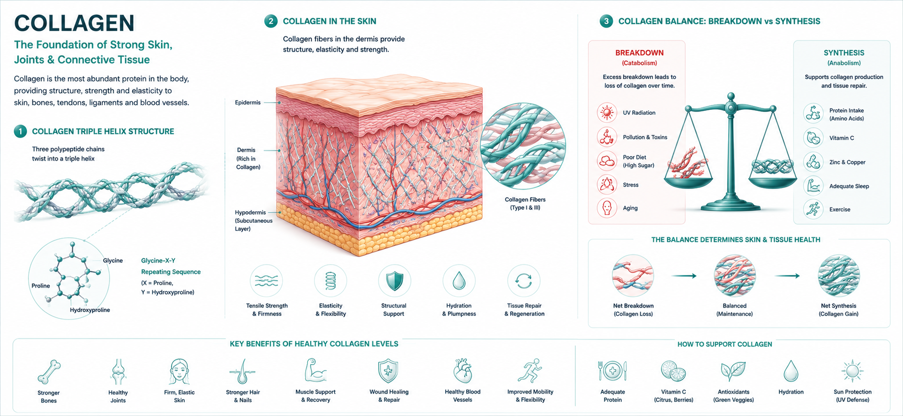 Collagen triple helix skin structure
